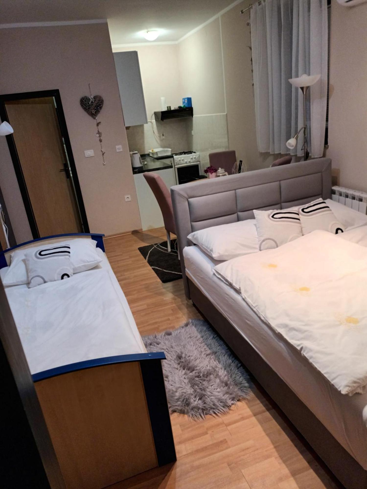 Studio Apartman Salopek Ogulin Exterior photo